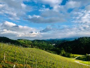 Svečinski grad v daljaviSvečinski grad v daljavi